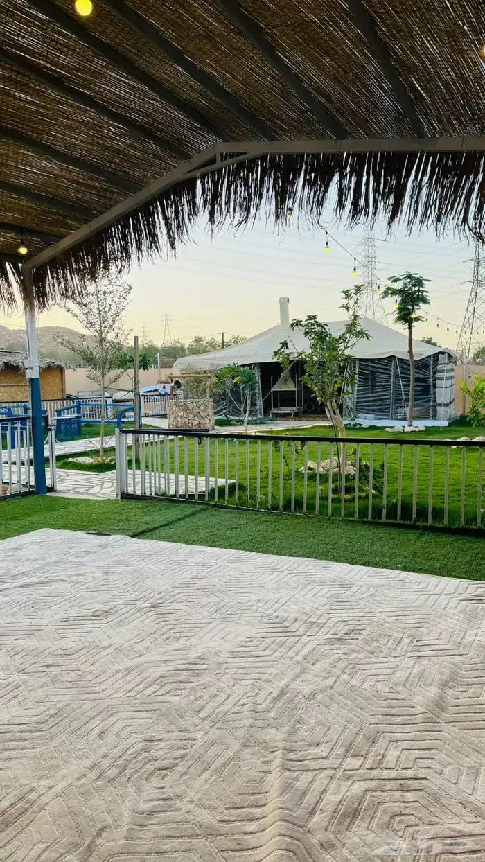 مخيم ايجار 22