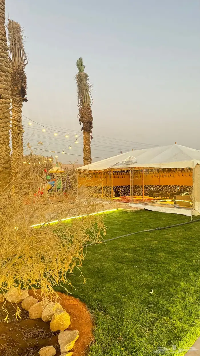 مخيم ايجار 12