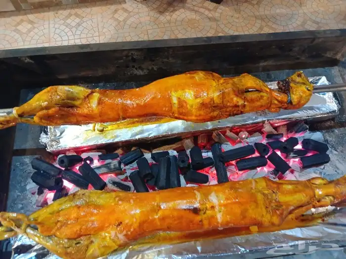 مطعم الخير يقدم خروف سيخ على الجمر 1 خروف مشوي   2   دجاج مش 0