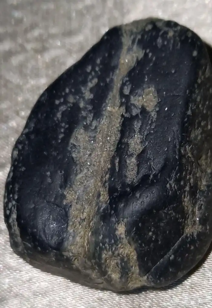 Black beauty.. 8 .. الجمال الأسود 4