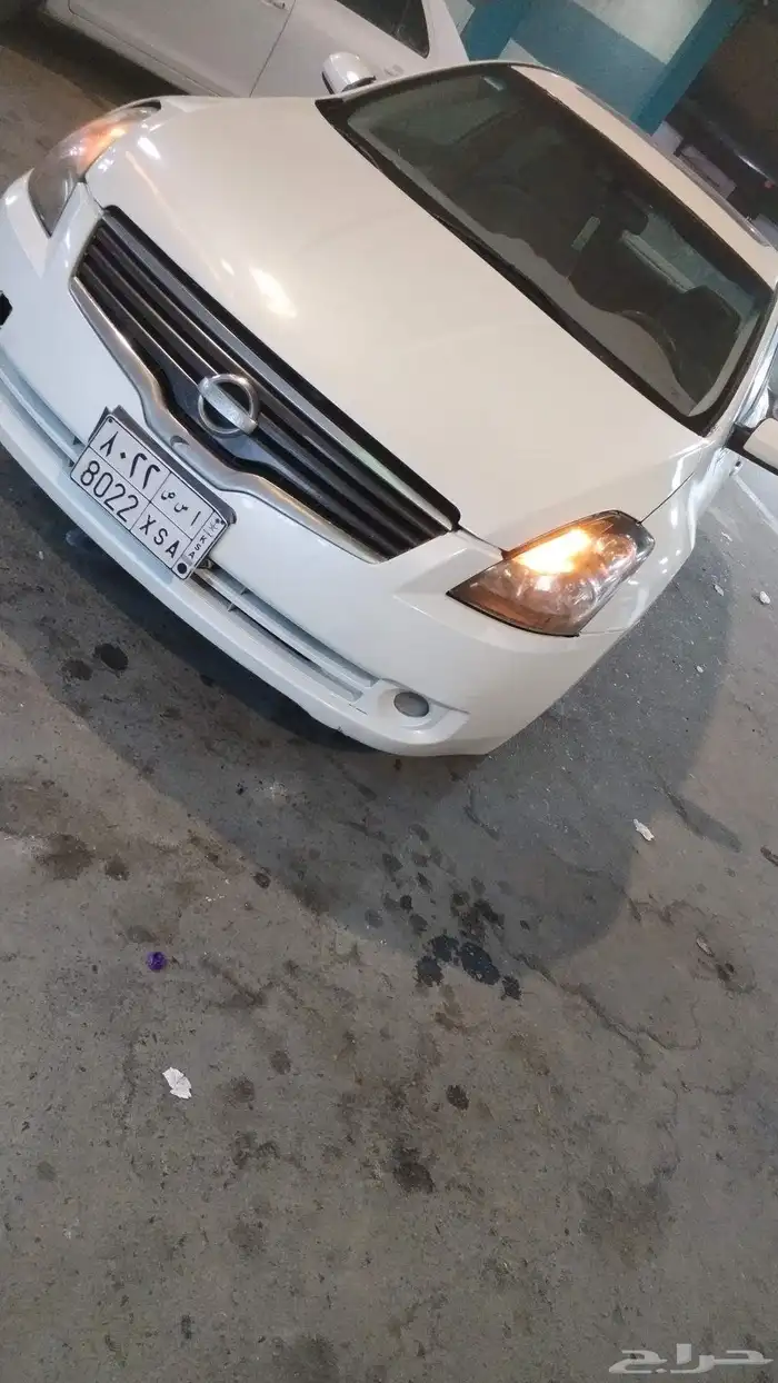 للبيع او البدل التيما 2008 1