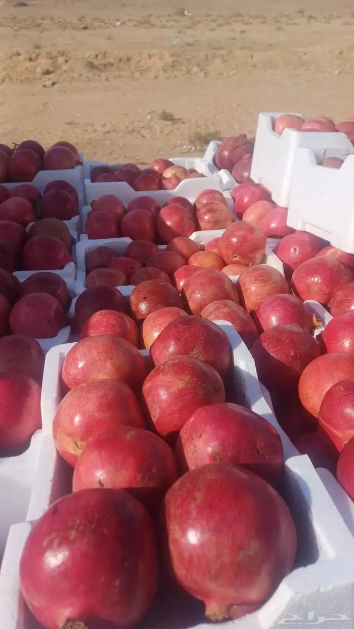 رمان متوفر 0