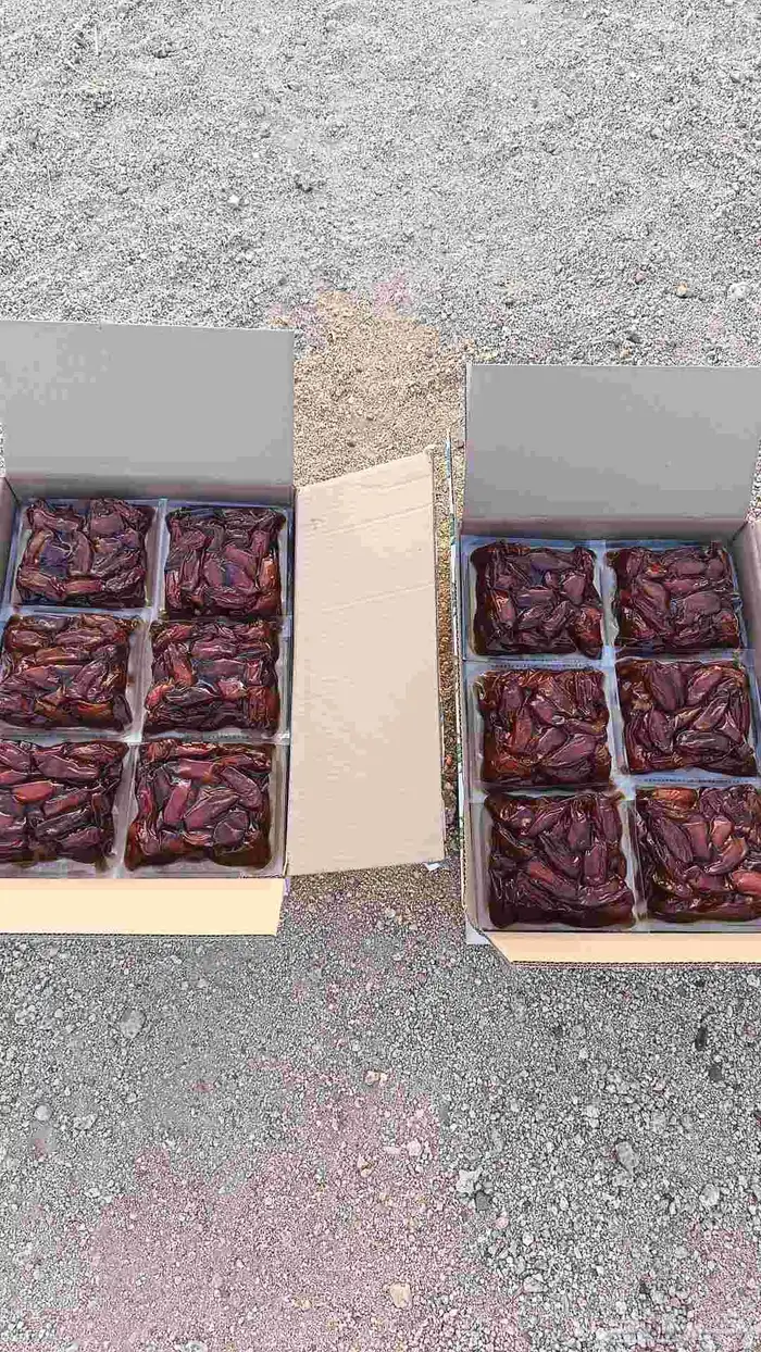 تمر صفري حبة كبير 1