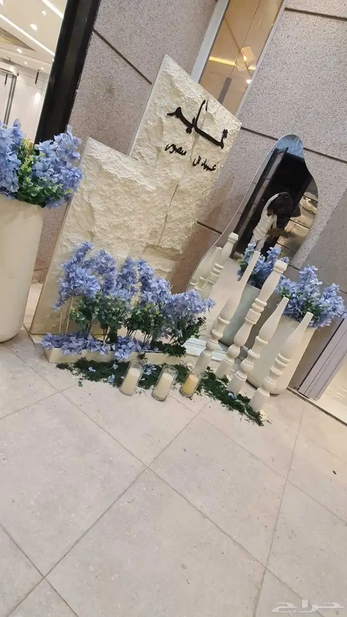 تنسيق حفلات الرياض_  كوش  كراسي  استقبالات_مواليد  استقبال 7