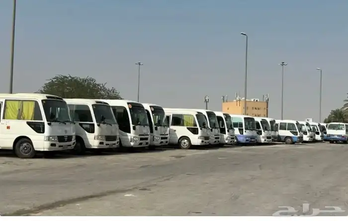 باصات للايجار الشهري والسنوي 2