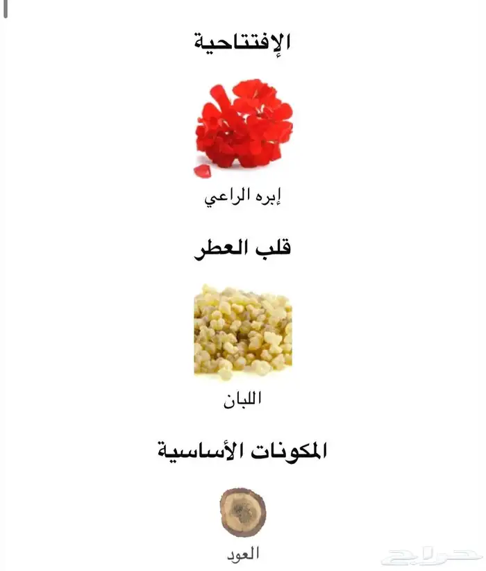 عطر بولغاري كوبرا 30 مل ( مباع ) 2