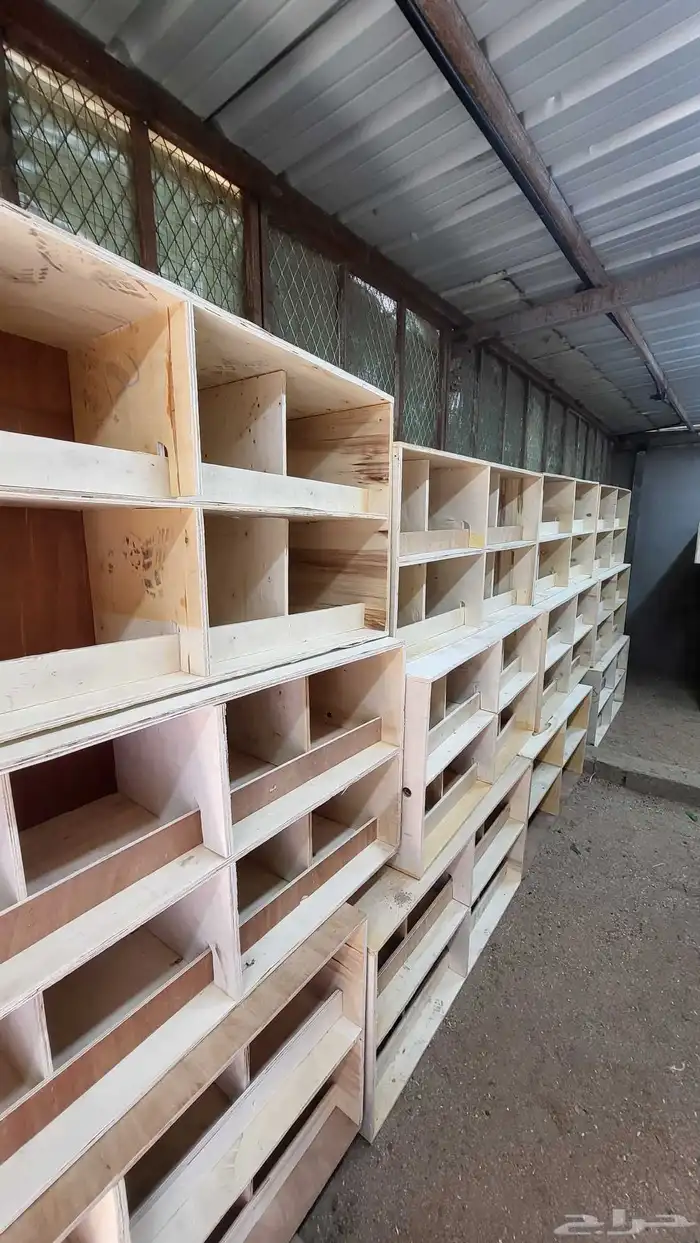 محاكر وابراج بيوت الحمام والدجاج 1