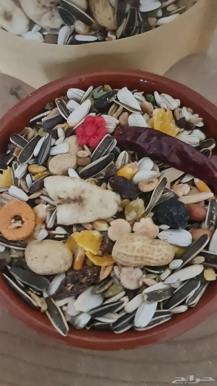 خلطة طيور للبغاوات الكبيرة شي فاخر من الاخر 0