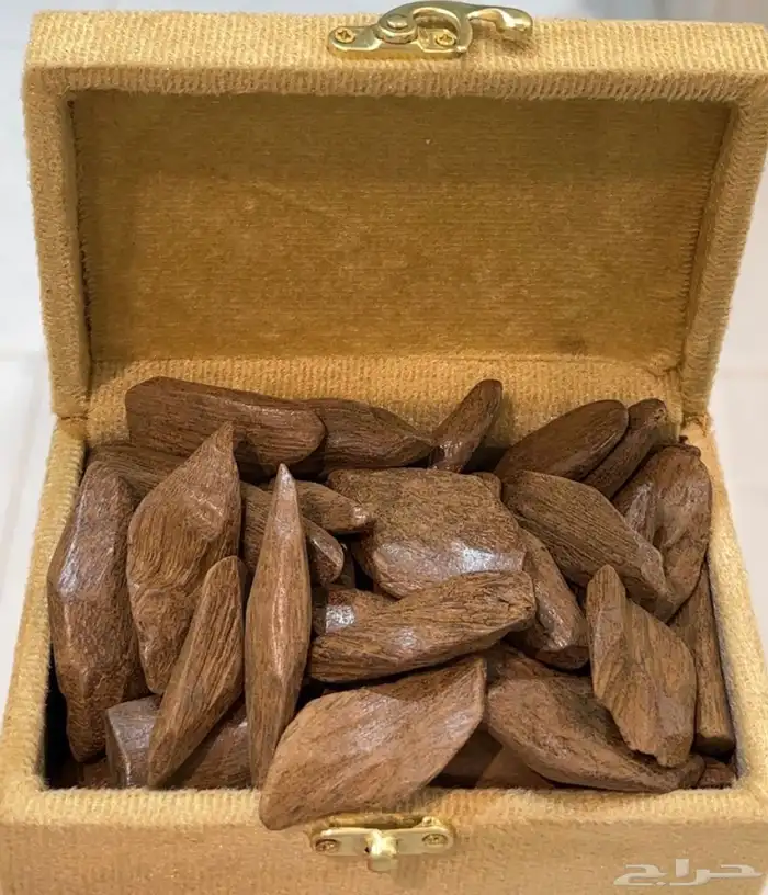 عود المروكي الفاخر 1