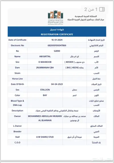حصان واهو حفيد الشقب index