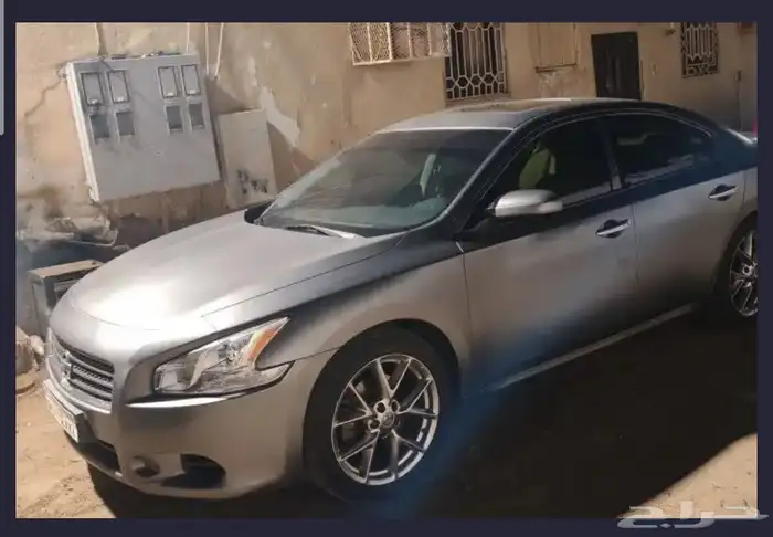 مكسيما 2010 بدل قفط 0