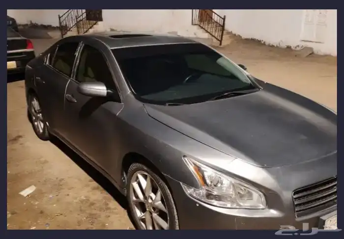 مكسيما 2010 بدل قفط 2