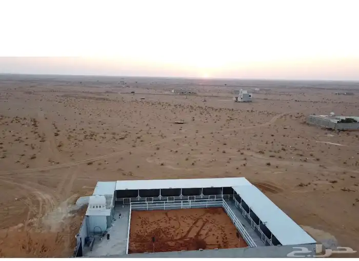 اسطبل جياد الخير (الخير) 1