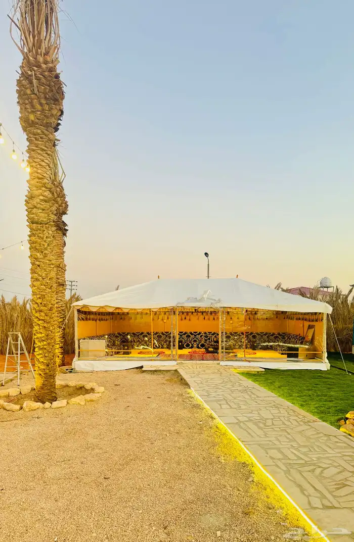 مخيم ايجار 10