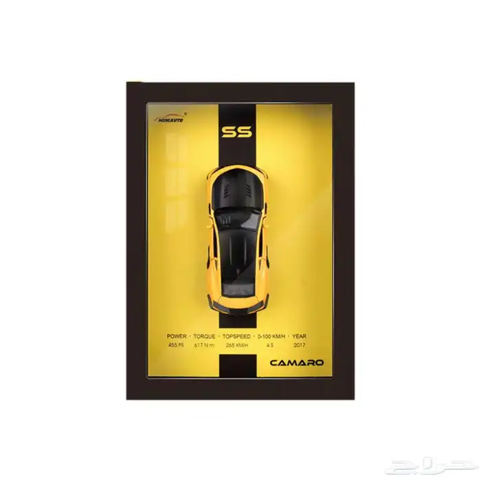 مجسمات لوحات سيارات 1