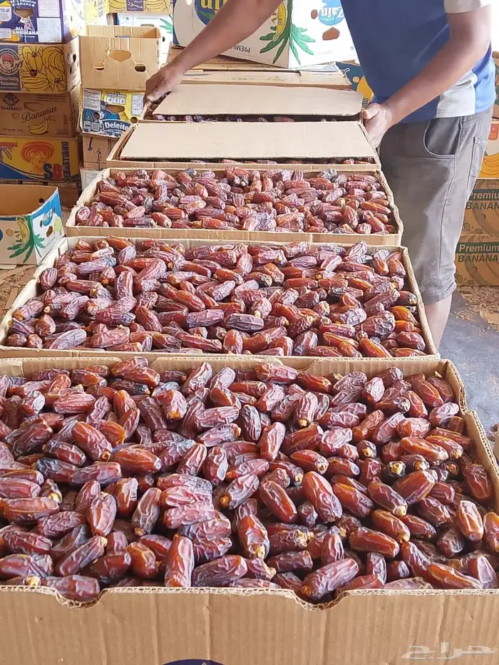 تمر مبروم جملة للبيع 0