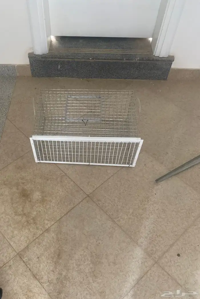 المصيدة الذكيه 1