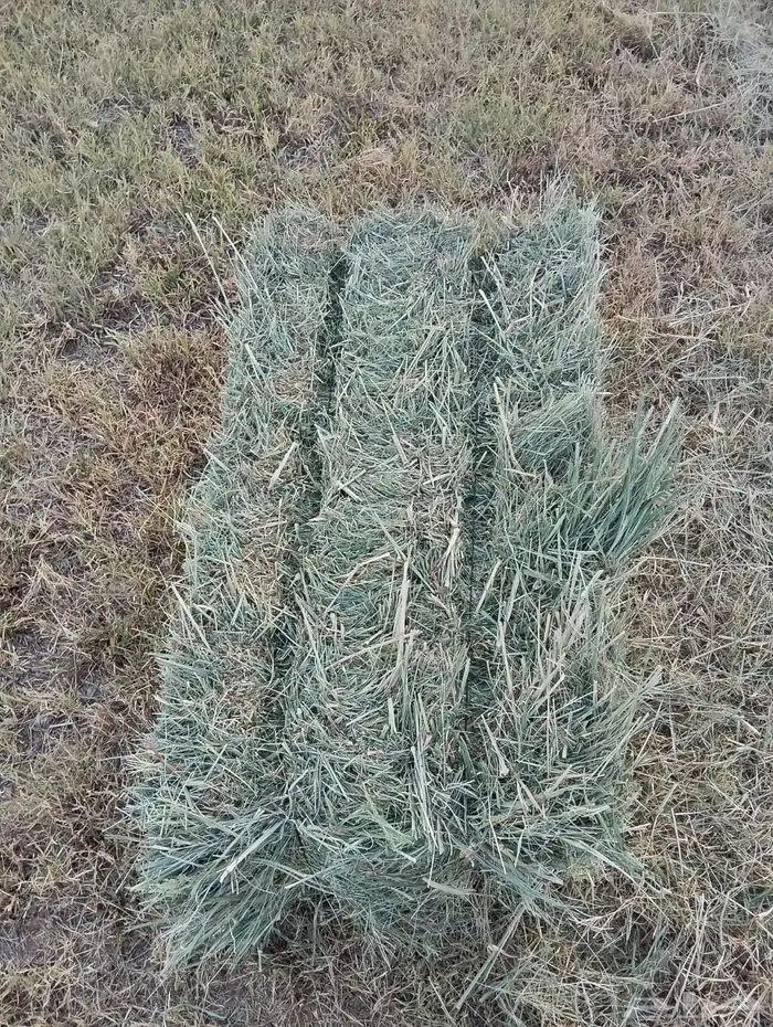 بلوبنك ناعم شد ووزن 0