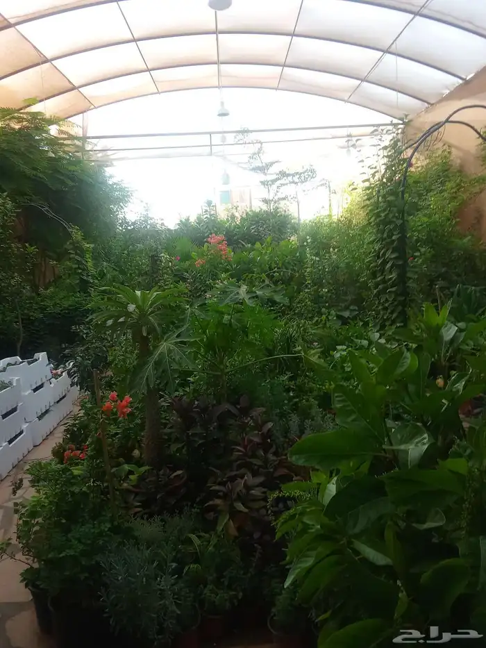 تنسيق حدائق 8