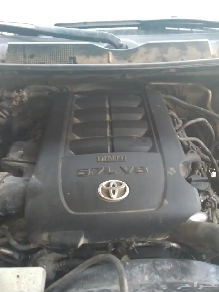 مكينة ساكويا 2011. 2012 0