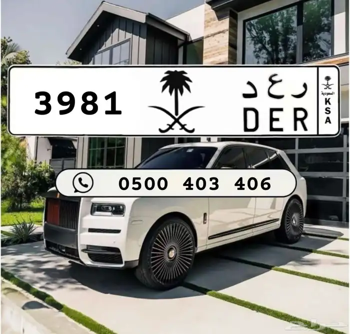 لوحة ر ع د 3981 0