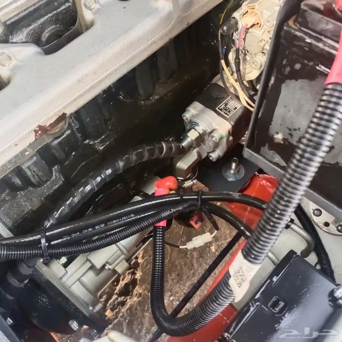 رافعه شوكية 14