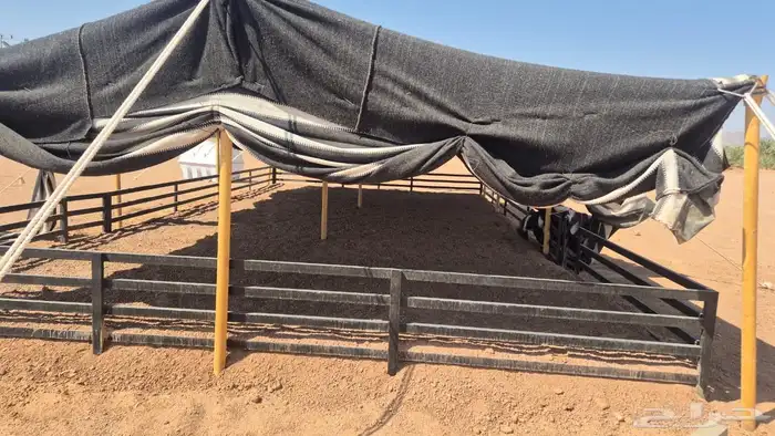 للبيع بيت شعر جديد 1