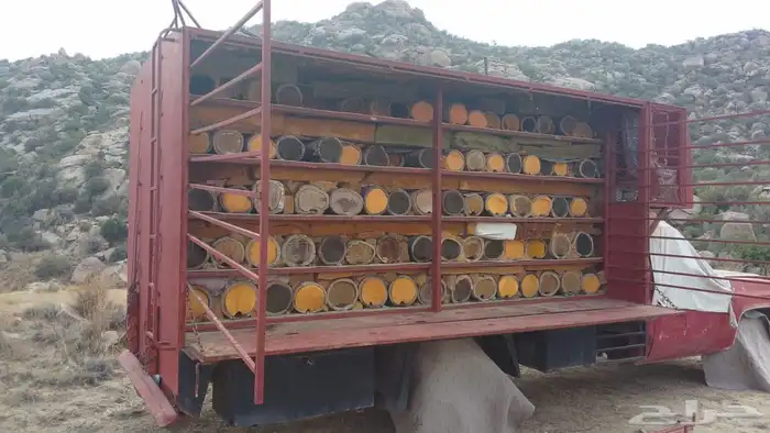 جمس نحل للبيع مديل 83 نظيف دق سلفه ووجه اي ارض عيدان بلدي 2