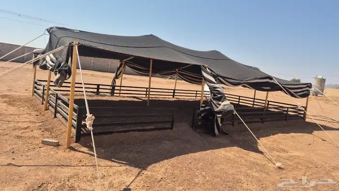 للبيع بيت شعر جديد 2