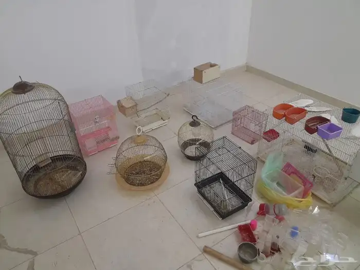 أقفاص نظيفه للبيع العدد 10 0