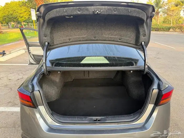 التيماء 2019 5