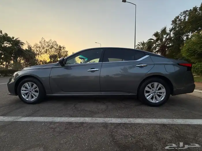 التيماء 2019 6