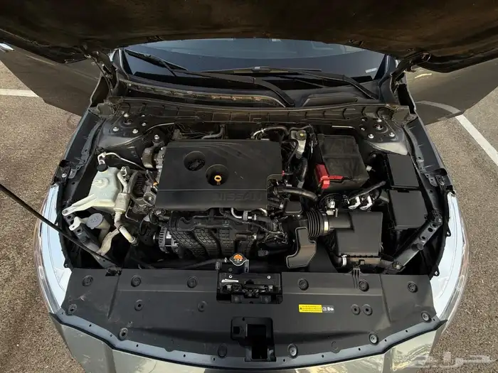 التيماء 2019 11