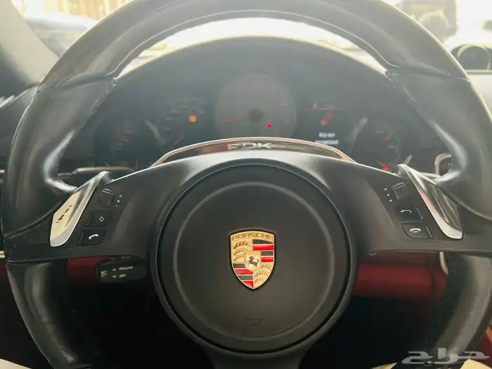 بورش بانيميرا 2014 5