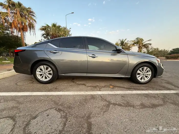 التيماء 2019 4