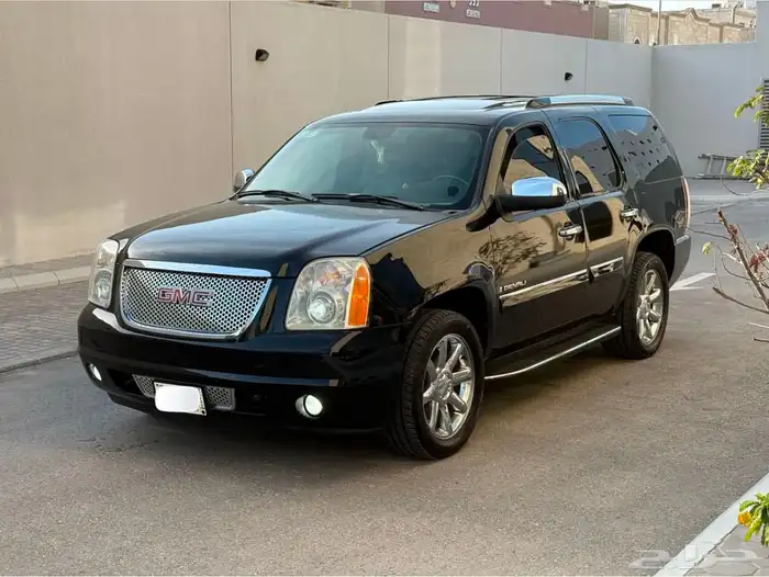 دينالي للبيع 2