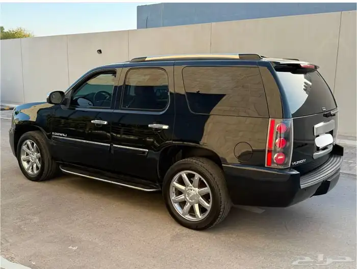 دينالي للبيع 1