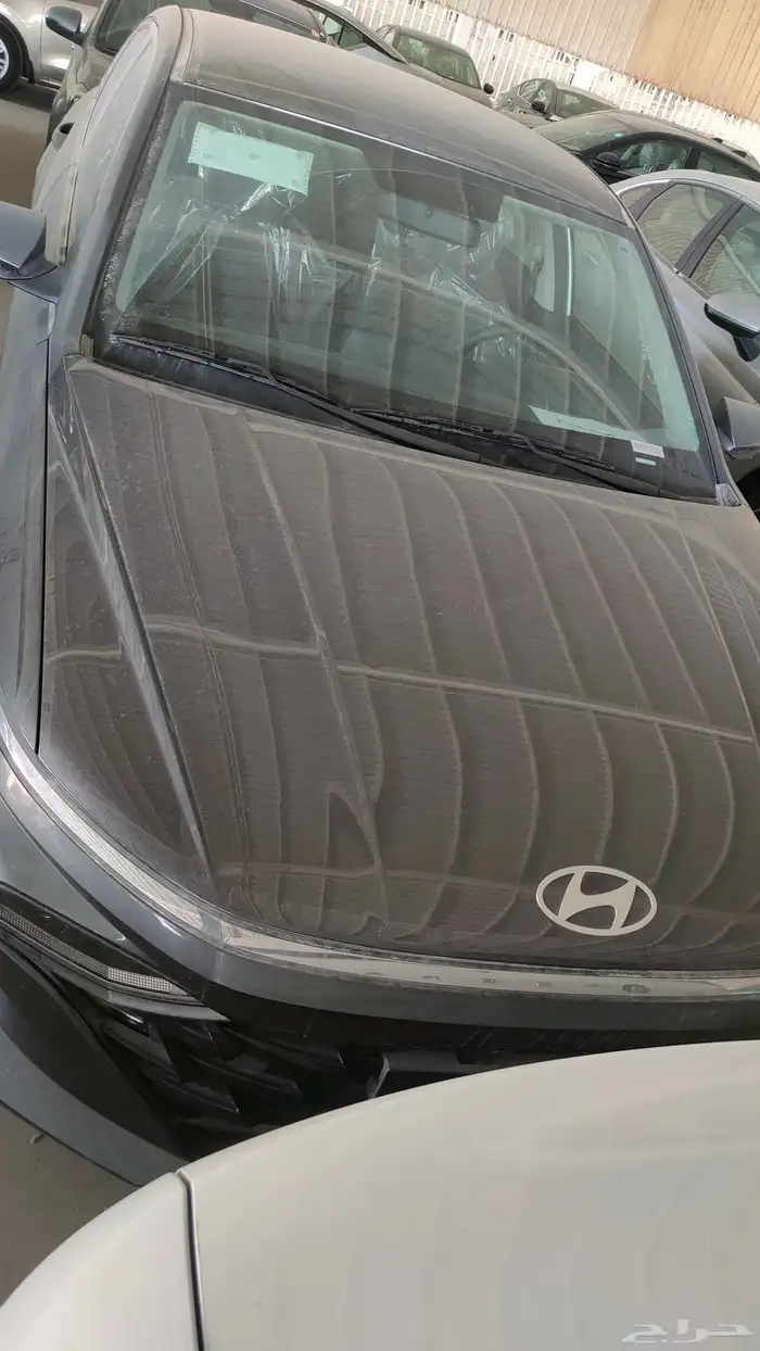 اكسنت فليت 2026 7