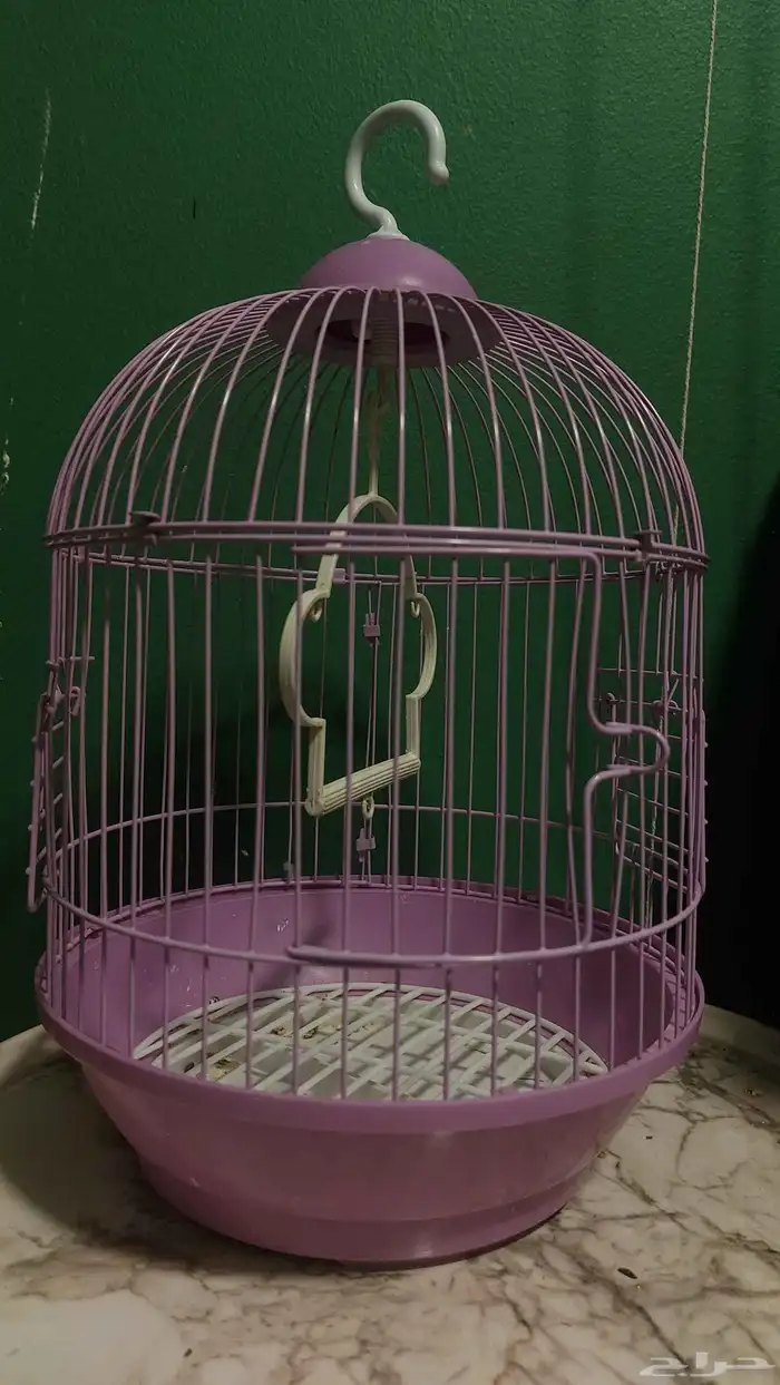 روز غير أليف 1