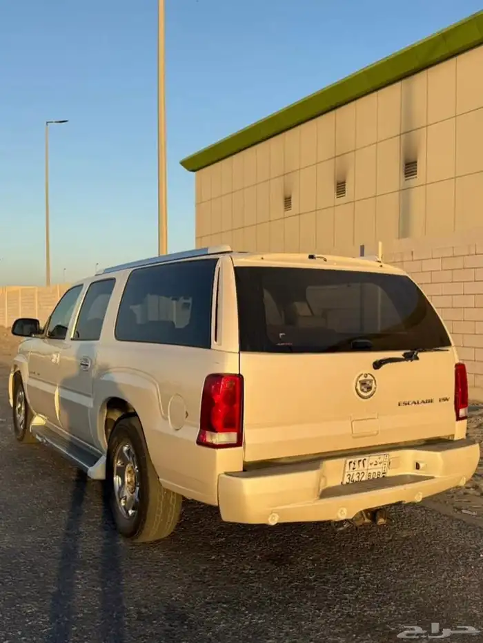 2006 أسكاليد 1