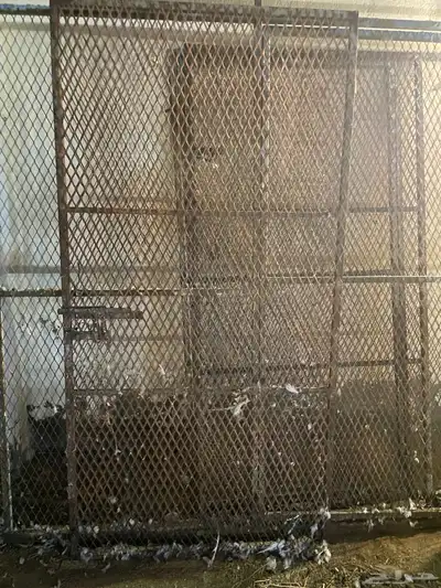 شبك طيور index