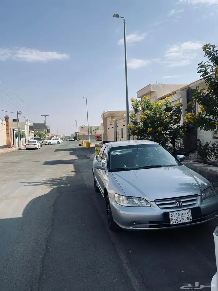 هونداء اكورد 0