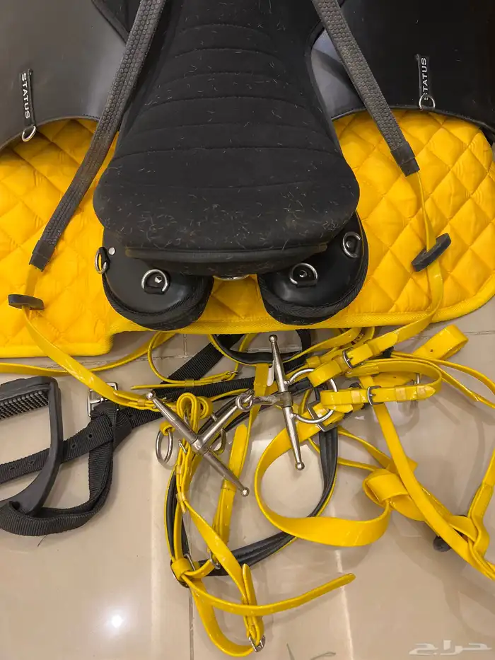 سرج ستيتوس كامل 1