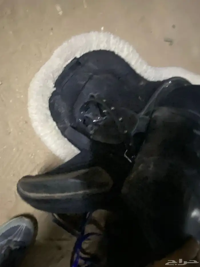 سرج نضيف اخو الجديد 0