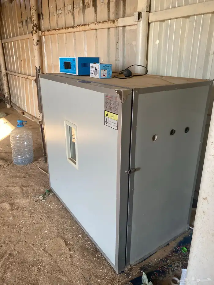 فقاسه دجاج كفو 0