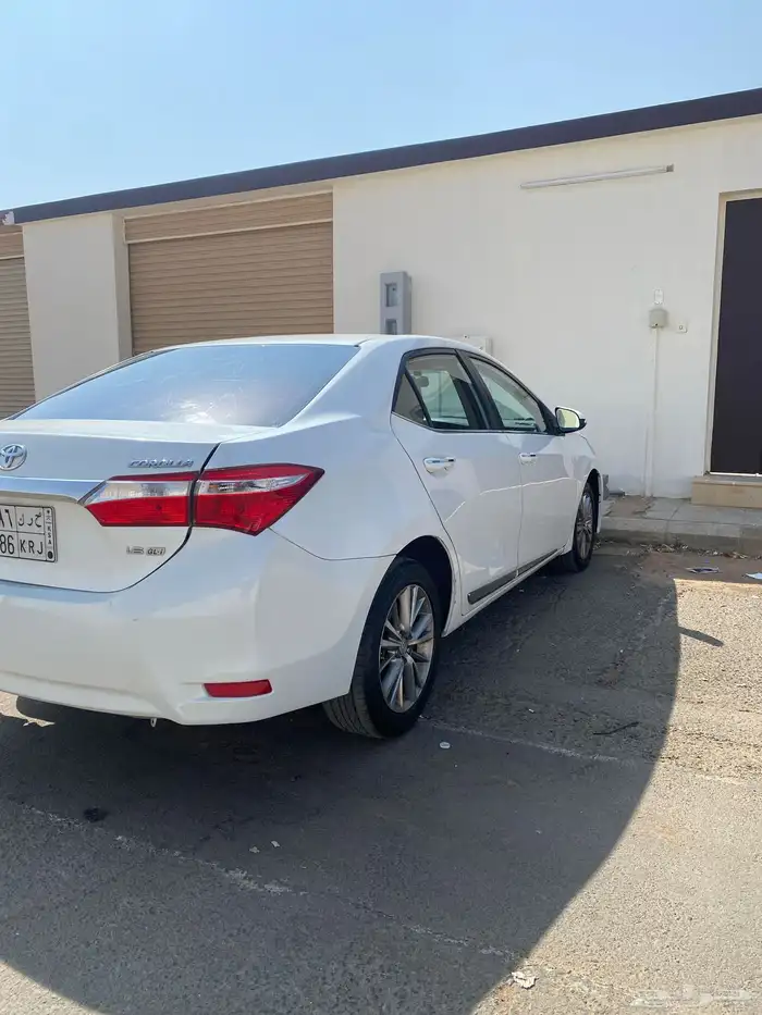 كورلا نص فل 2014 4