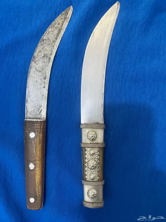 سكين شفره أم ثور  قرن برازيلي من عمل القنوي 1