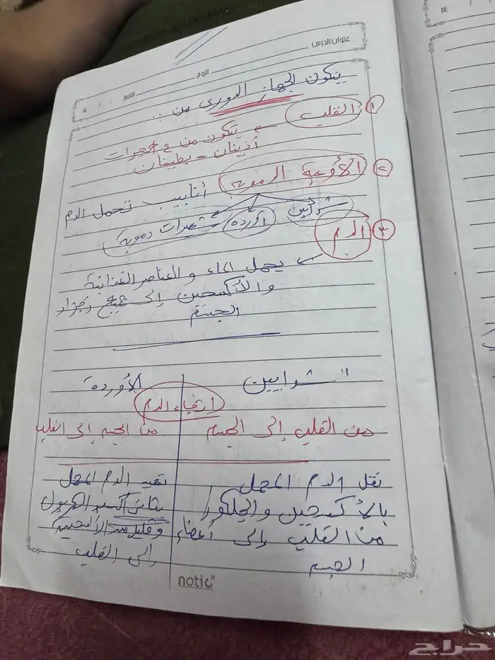 مدرسه خصوصيه 0