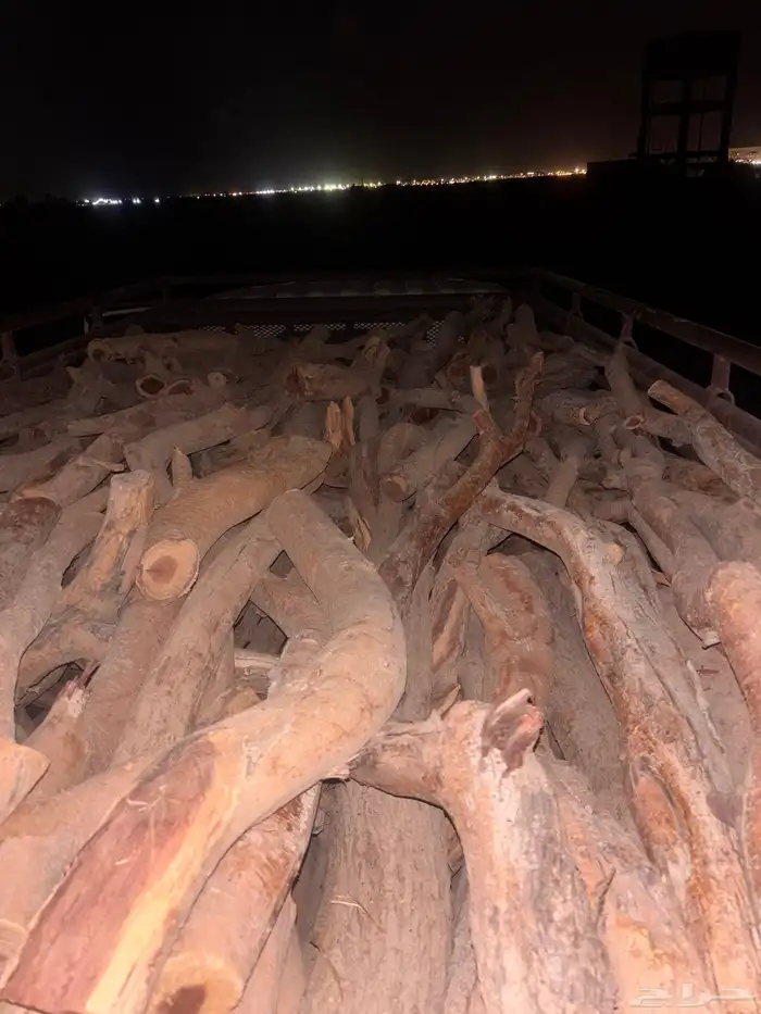 غظاء ارطاء سمر 2