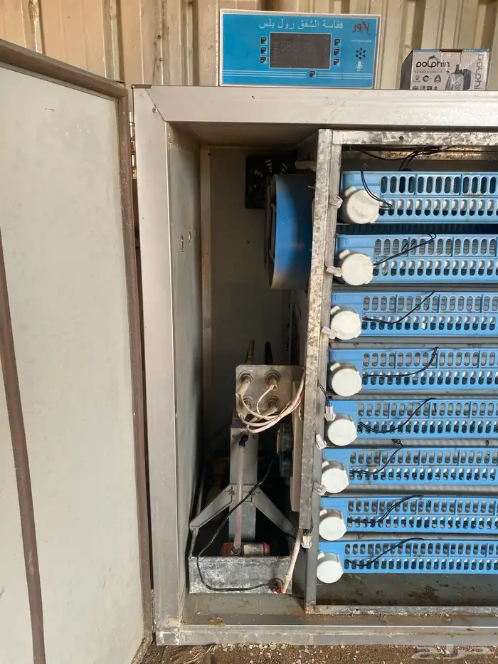 فقاسه دجاج كفو 4